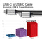 Cirago USB-C to USB-C Cable Silver